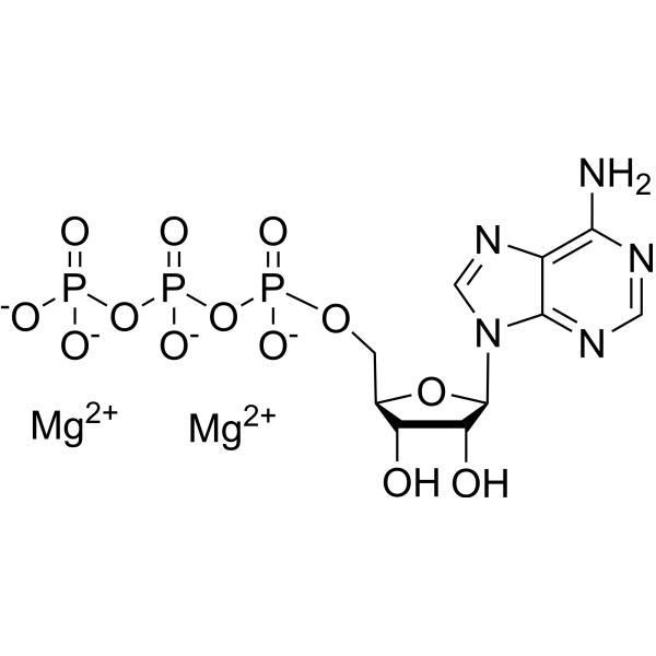 ATP dimagnesium 74804-12-9